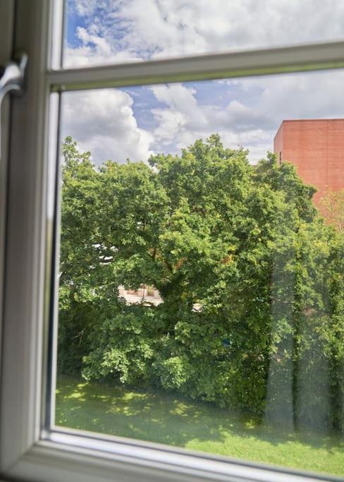 Stunning Luxury 2 Bed Apartment With En-Suite In Wokingham City Centre Exteriör bild
